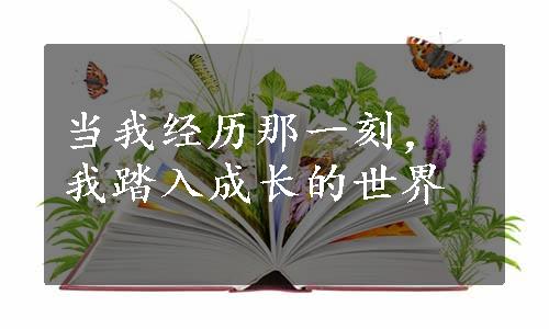 当我经历那一刻，我踏入成长的世界