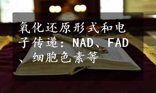 氧化还原形式和电子传递：NAD、FAD、细胞色素等