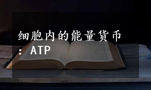 细胞内的能量货币：ATP