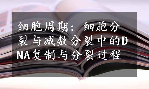 细胞周期：细胞分裂与减数分裂中的DNA复制与分裂过程