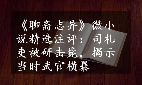 《聊斋志异》微小说精选注评：司札吏被研击毙，揭示当时武官横暴