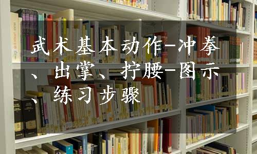 武术基本动作-冲拳、出掌、拧腰-图示、练习步骤