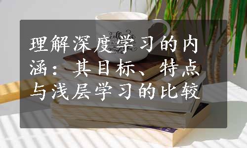 理解深度学习的内涵：其目标、特点与浅层学习的比较