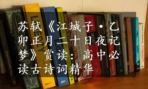 苏轼《江城子·乙卯正月二十日夜记梦》赏读：高中必读古诗词精华