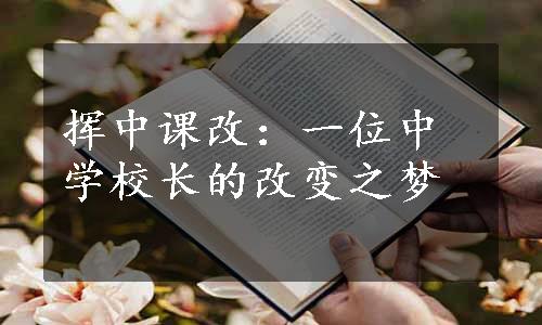 挥中课改：一位中学校长的改变之梦