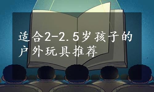 适合2-2.5岁孩子的户外玩具推荐