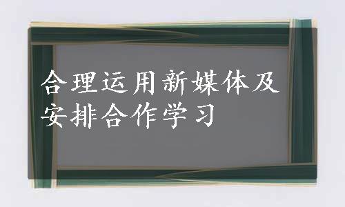 合理运用新媒体及安排合作学习