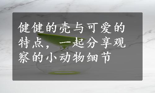 健健的壳与可爱的特点，一起分享观察的小动物细节