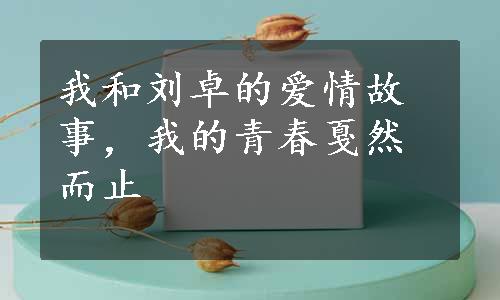 我和刘卓的爱情故事，我的青春戛然而止