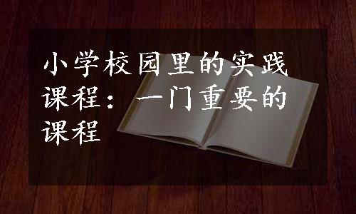 小学校园里的实践课程：一门重要的课程