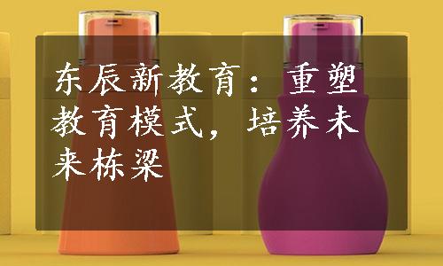 东辰新教育：重塑教育模式，培养未来栋梁