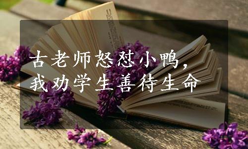 古老师怒怼小鸭，我劝学生善待生命