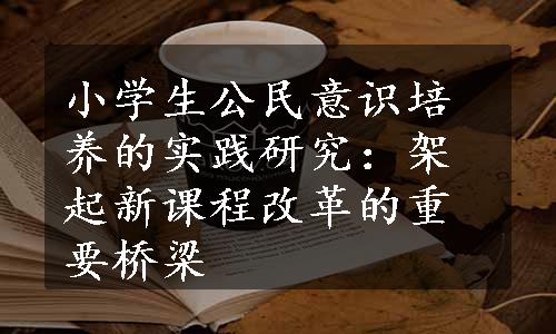 小学生公民意识培养的实践研究：架起新课程改革的重要桥梁