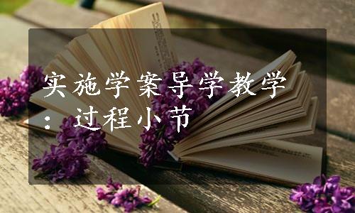 实施学案导学教学：过程小节