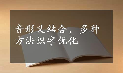 音形义结合，多种方法识字优化