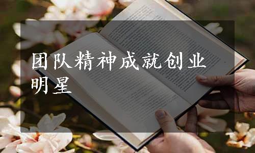 团队精神成就创业明星