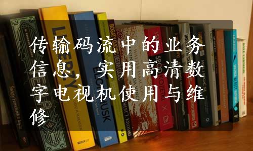 传输码流中的业务信息，实用高清数字电视机使用与维修