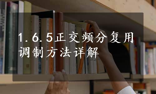 1.6.5正交频分复用调制方法详解