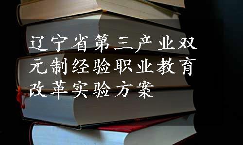 辽宁省第三产业双元制经验职业教育改革实验方案