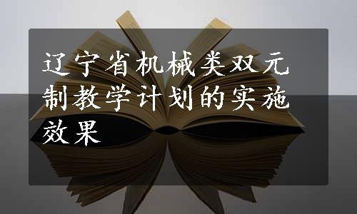 辽宁省机械类双元制教学计划的实施效果