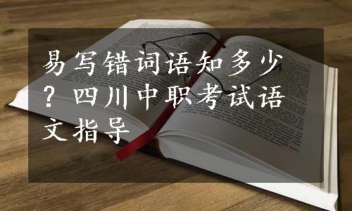 易写错词语知多少？四川中职考试语文指导