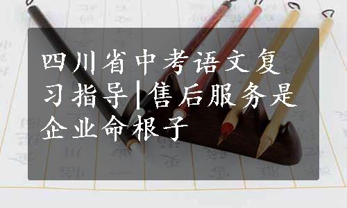 四川省中考语文复习指导|售后服务是企业命根子