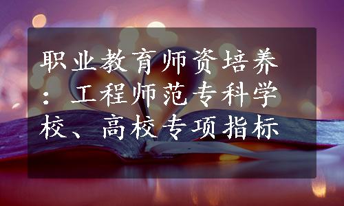 职业教育师资培养：工程师范专科学校、高校专项指标