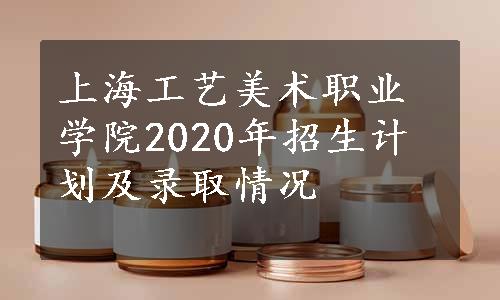 上海工艺美术职业学院2020年招生计划及录取情况