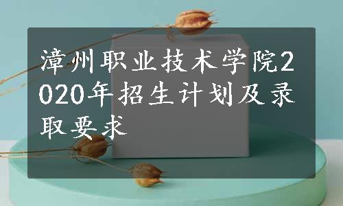 漳州职业技术学院2020年招生计划及录取要求