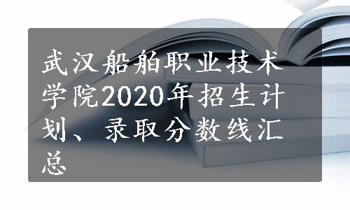 武汉船舶职业技术学院2020年招生计划、录取分数线汇总