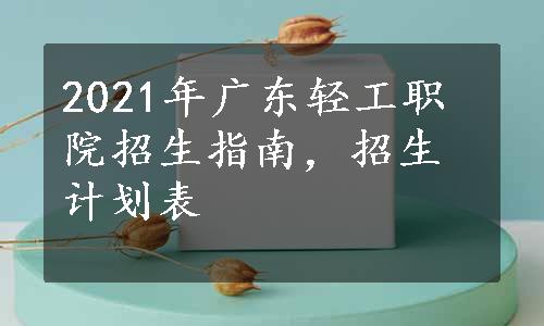 2021年广东轻工职院招生指南，招生计划表