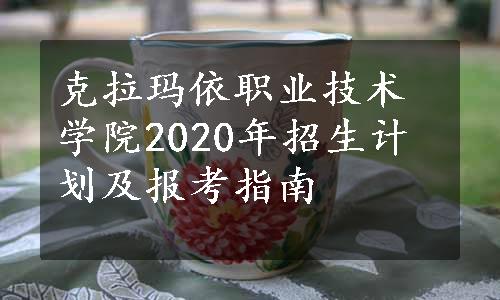 克拉玛依职业技术学院2020年招生计划及报考指南