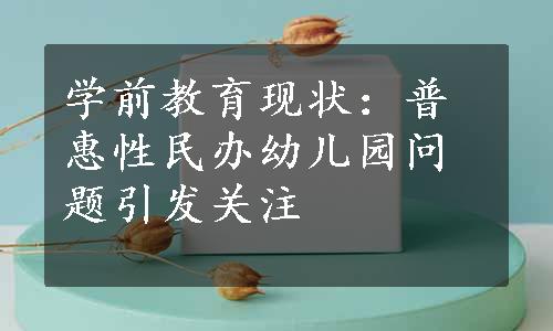 学前教育现状：普惠性民办幼儿园问题引发关注