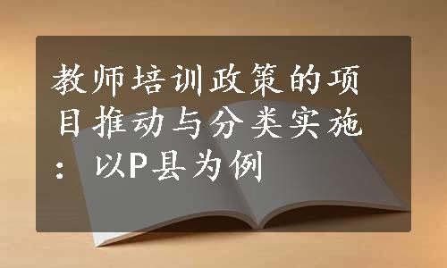 教师培训政策的项目推动与分类实施：以P县为例