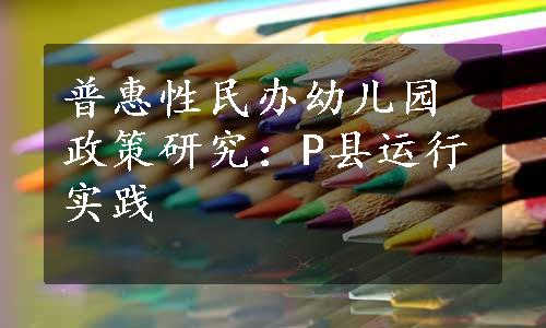 普惠性民办幼儿园政策研究：P县运行实践