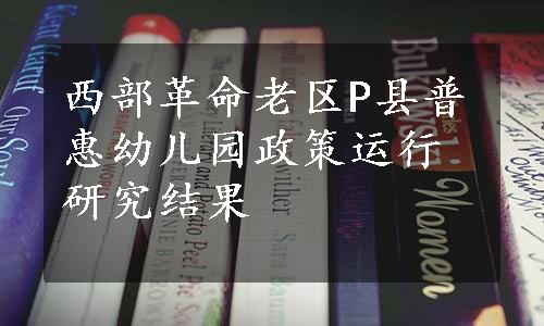 西部革命老区P县普惠幼儿园政策运行研究结果