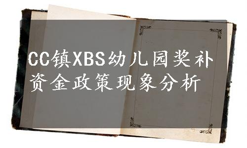 CC镇XBS幼儿园奖补资金政策现象分析