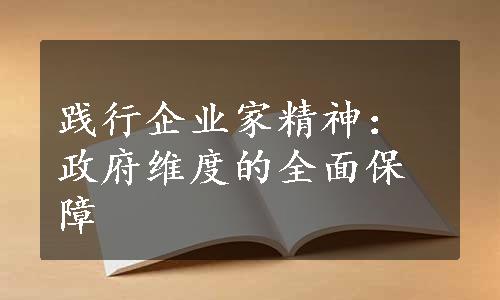 践行企业家精神：政府维度的全面保障