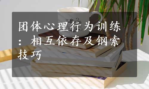 团体心理行为训练：相互依存及钢索技巧