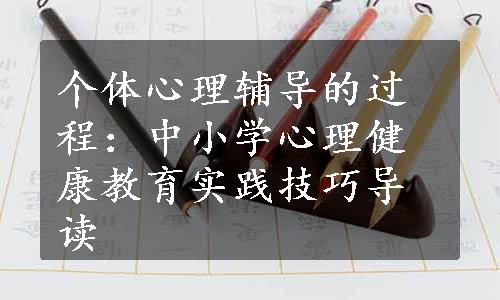 个体心理辅导的过程：中小学心理健康教育实践技巧导读