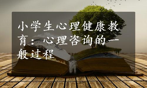 小学生心理健康教育：心理咨询的一般过程