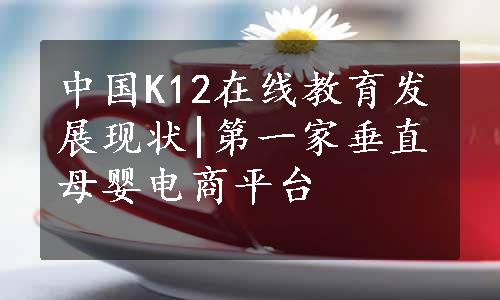 中国K12在线教育发展现状|第一家垂直母婴电商平台