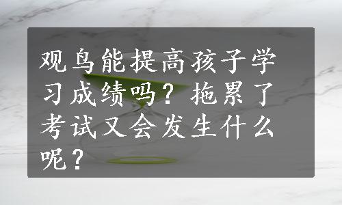 观鸟能提高孩子学习成绩吗？拖累了考试又会发生什么呢？