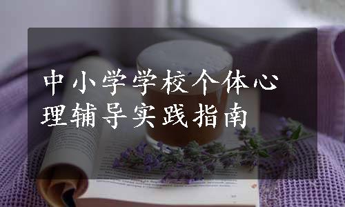 中小学学校个体心理辅导实践指南