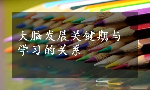 大脑发展关键期与学习的关系