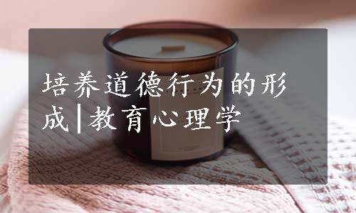 培养道德行为的形成|教育心理学