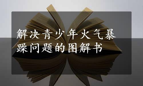 解决青少年火气暴躁问题的图解书