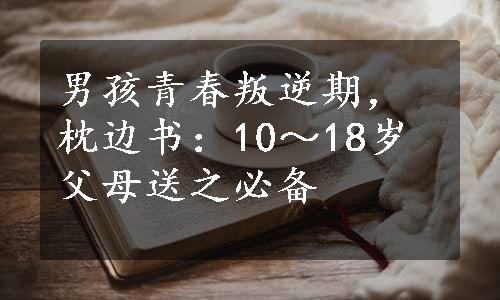 男孩青春叛逆期，枕边书：10～18岁父母送之必备