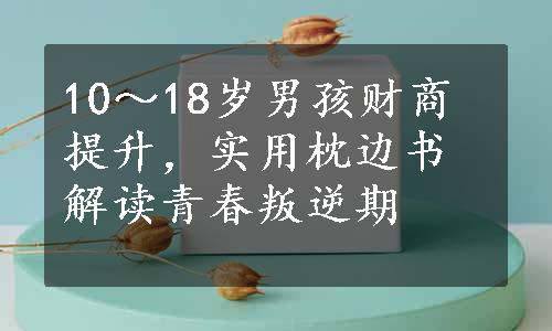 10～18岁男孩财商提升，实用枕边书解读青春叛逆期