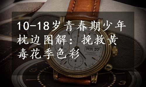 10-18岁青春期少年枕边图解：挽救黄毒花季色彩